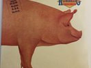 HOMBRES G ESTAMOS LOCOS… ¿O QUE? MEXICAN LP ROCK IN SPANISH