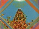 Morgan Delt Self-Titled Debut LP Trouble In MInd OOP Psych Pop Trouble In Mind