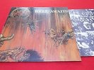 SLAYER - HELL AWAITS  KOREA  LP