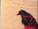 Death Cab For Cutie Transatlanticism [2 x LP 2003] Postal Service Ben Gibbard