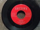 FANTASTIC DEE-JAYS Apache SHERRY 197 DJ M- Listen  GARAGE