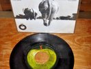 ELEPHANT'S MEMORY Liberation Special (1972 MEXICO 7