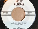 POPCORN ROCK N ROLL MOON STEP TWIST WAYNE SHERWOOD 45 PROMO EXOTICA FLIP MINT