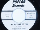 Doo Wop 45 ENCHANTONES My Picture Of You POPLAR VG+/VG++ HEAR