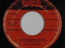 Doo-Wop 45 - Valtones - Have You Ever Met An Angel - Gee - mp3