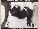 SACCHARINE TRUST Paganicons ORIGINAL PRESS KBD PUNK LP SST EX