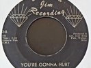 E.J. & THE ECHOES--YOU'RE GONNA HURT / I HAD A HARD TIME-DIAMOND JIM-3--NORTHERN