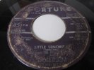 THE SWANS RARE DETROIT DOO WOP GROUP 45 FORTUNE LABEL 813 THE LITTLE SENORITA