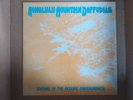 HONOLULU MOUNTAIN DAFFODILS - GUITARS OF THE OCEANIC UNDERGROWTH  12
