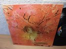 MOTHERHOOD (DOLDINGER) SAME LP IN 1970 KRAUTROCK UDO LINDENBERG