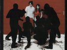 WHITE STRIPES WHITE BLOOD CELLS 180G US ISSUE LP VINYL 33RPM 2010 NEW