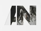 Awolnation - Run 2LP NEU 0552678