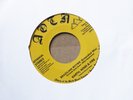 BRAZILIAN RHYME  EARTH WIND AND FIRE  7” Disco Soul Athens Of The North