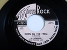 '58 R&B Rockabilly Rock & Roll RARE 45 Al Downing Down On The Farm UNPLAYED MINT