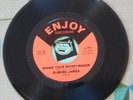 Elmore James 45 Shake Your Moneymaker / Look on Yonder Wall 1965 Blues VG+