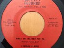 Rare Funk 45 ETERNAL FLAMES 