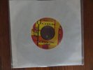 THE UGLY DUCKLINGS (CANADA PUNK GARAGE) She Ain't No Use To Me Yorktown 45