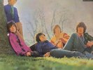 LP Dave Dee, Dozy, Beaky, Mick & Tich If No-One Sang ORIGINAL NEW ZEALANDER