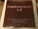 Prince - Raspberry Beret USA 12” promo