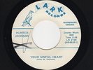Uptempo Virginia C&W HUNTER JOHNSON Your Sinful Heart/After All Love LARK M-HEAR