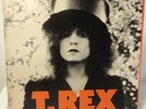 T.Rex, The Slider, Gatefold, Reprise 33