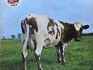 VINYLE 33T - LP Pink Floyd 