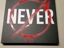 Metallica through the never (music from the motion picture) 3 lp box set