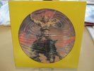 MOLLY HATCHET (PICTURE DISC) 