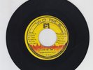 WILD FIRE/ LOVE OF JAH - BARRINGTON LEVY (90 DIGI ROOTS 7