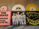 the dickies vinyl e.p bundle paranoid banana splits nights in white satin