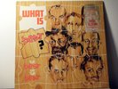 THE ENGLISH BEAT Dbl LP What is beat the best of 1983 Go-Feet uk