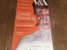 Original David Bowie V&A Exhibition Film Poster Ziggy Stardust