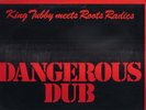 DANGEROUS DUB-KING TUBBY AND ROOTS RADICS KILLER ROOTS DUB LP
