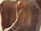 Ohio Players First Fruit STILL SEALED NEW OVP Upfront Recordings Vinyl LP