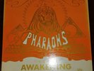 RARE The Pharaohs Awakening SR#001 Scarab Records Jazz Funk Vinyl lp (1971) WOW