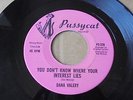 Dana Valery - You Don't Know Where Your Interest Lies 1970s USA 45 PUSSYCAT