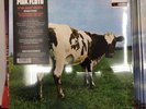 Pink Floyd Vinyl Atom Heart Mother 2016 Edition