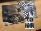 KIN PING MEH NO. 2 GERMAN ORIGINAL ZEBRA PRESS in 1972 TOP KRAUT PROGROCK