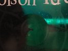 POISON IDEA rare vinyl Calling All Ghosts ep VINYL Pig Champion OUT OF PRINT OFF