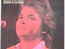 John Prine, Diamonds In The Rough  Vinyl Record/LP *USED*