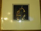 Alan Silva and his Celestial Communication Orchestra Luna Surface LP Free Jazz