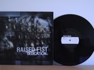 Raised Fist Dedication vinyl LP ignite sick of it all refused death by stereo 7
