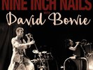 David Bowie / Nine Inch Nails - Back In Anger Vol 2 2x vinyl LP Live 1995