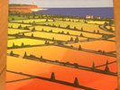 LEMON JELLY : LOST HORIZONS  RARE  DOUBLE VINYL LP. UNPLAYED