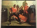 THE FLAMIN' GROOVIES Teenage Head LP Kama Sutra KSBS 2031 1972 Pressing VG