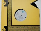 Pile ?– About Evolution And Development   Vinyl   (LP175)