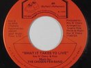 Modern Soul 45 - Chosen Few Band - What It Takes To Live - BR - VG++ mp3 - rare