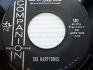 HARPTONES doowop orig. VG++ COMPANION 45 ALL IN YOUR MIND the LAST DANCE ws172