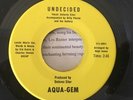RARE Private Funk Northern Soul 45 - Delores Eiler Aqua Gem - Mint-