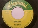 THE BRYDS RAYNARD 10038 Chicago Punk Garage Psych 45 record YOUR LIES VG